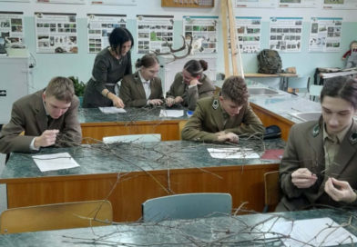 Rozpoznawanie gatunków roślinności leśnej na podstawie pędów Rozpoznawanie gatunków roślinności leśnej na podstawie pędów