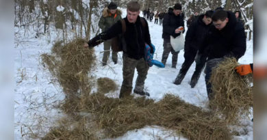 Akcja dokarmiania zwierząt