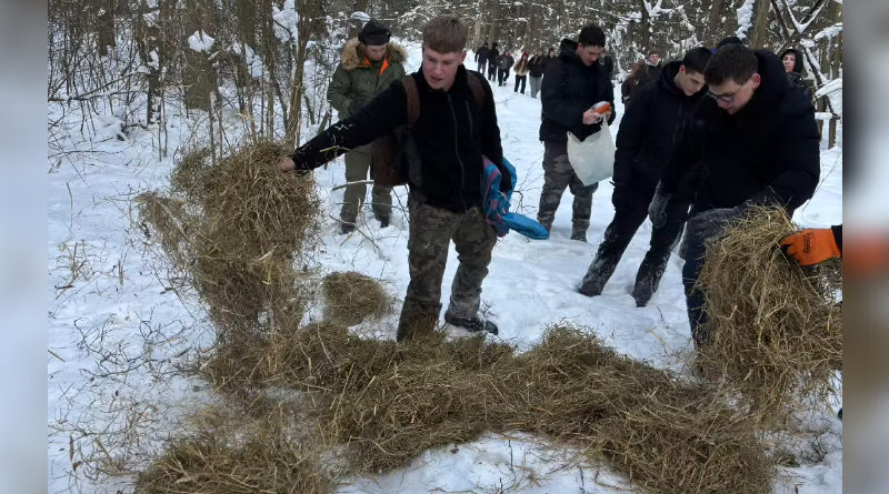 Akcja dokarmiania zwierząt