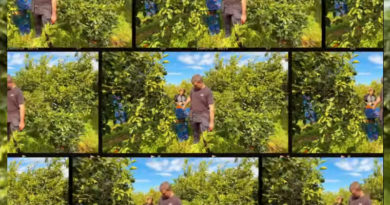 Leśnicy w akcji – także poza granicami kraju!