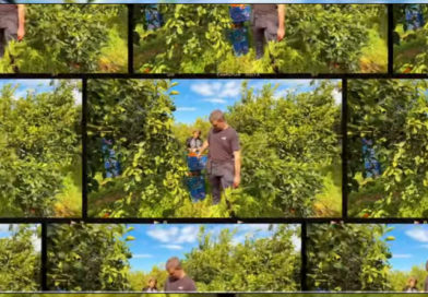 Leśnicy w akcji – także poza granicami kraju!